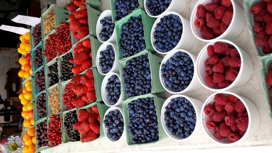 Berry blackberry blueberry photo