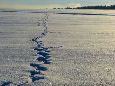 Snow lane trace wintry photo