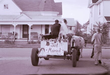 Carriage married shield
