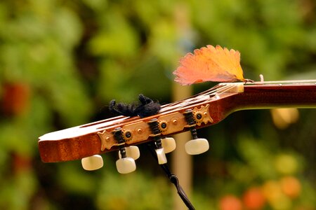 Guitar instrument music