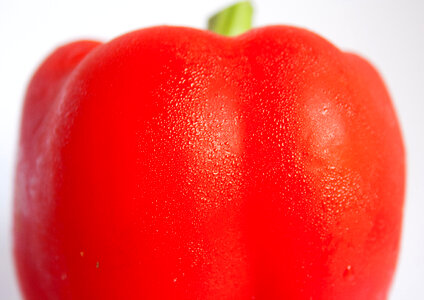 Red Capsicum Vegetable photo