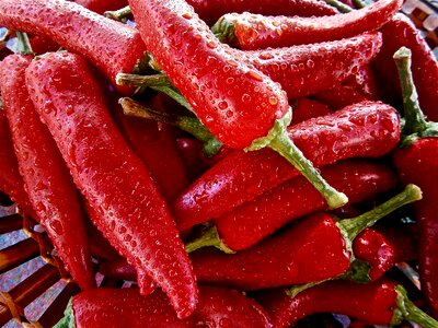 Vegetable vegetables nature