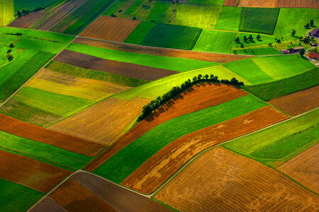 Top View of Arable Fields photo