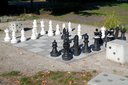 Black white chess game photo