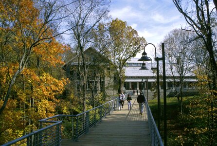 Autumn bridge cross section