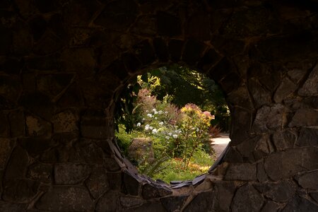 Flowers stone window photo