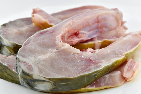 Cholesterol fillet fish photo