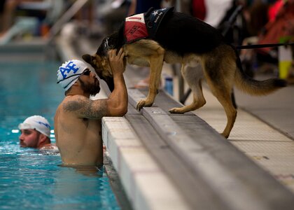 Race competition swimmer photo