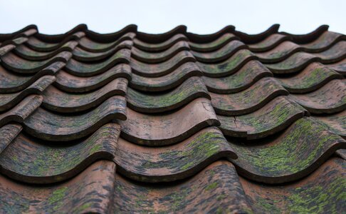 Tile roofing tile simple domed photo