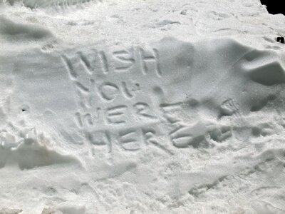 Cold white wintry
