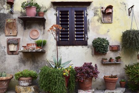 Window Plants Wall House photo