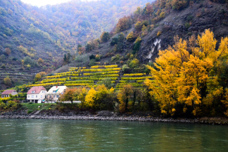 Terraces and houses on the lake photo