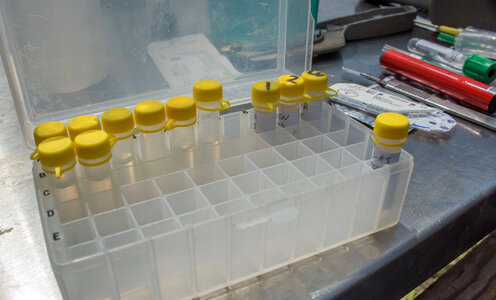Medical instruments used by USFWS fisheries crew-1