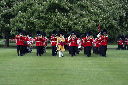 The Grenadier Guards at the palace in London
