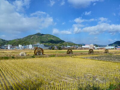 Scenic farm rural photo