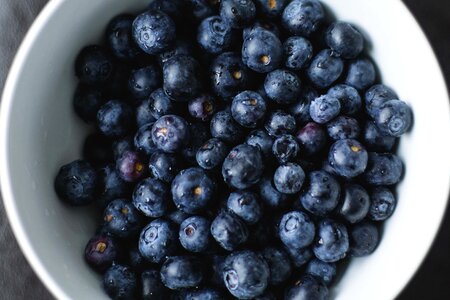 Antioxidant berry blackberry
