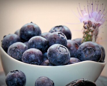 Antioxidant berry blueberry