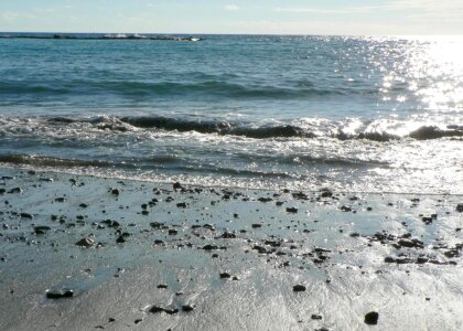 Phylum shoreline stones