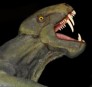 Prehistoric extinct reptile photo