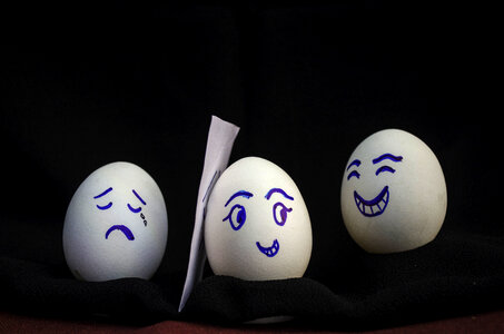 Eggs Happy Sad Cry photo
