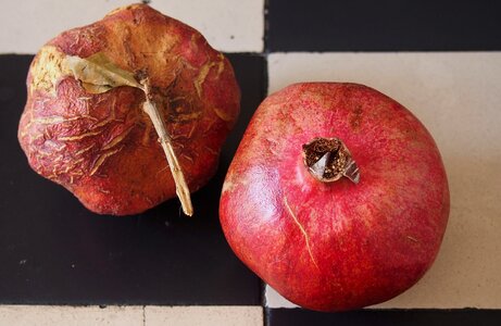 Young old punica granatum