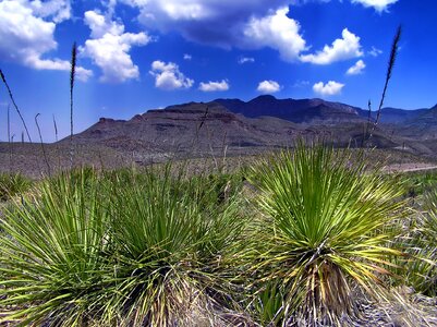 Mountains plants sky