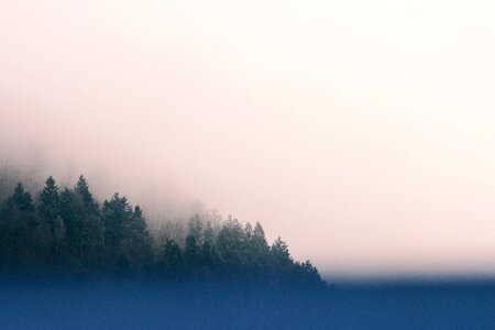 Foggy Landscape photo