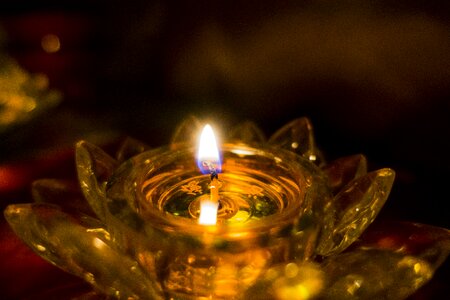 Lotus flames burning