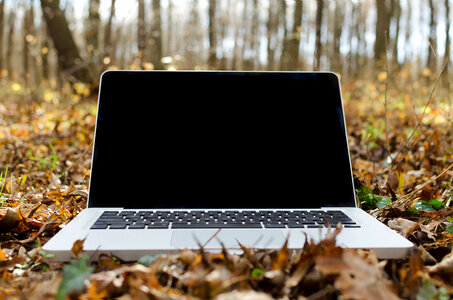 Laptop sitting on leaves on the forest floor photo