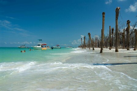 Paradise tropical 