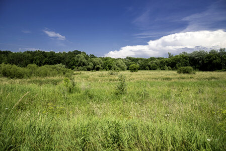 Grassland under blue skies landscape photo