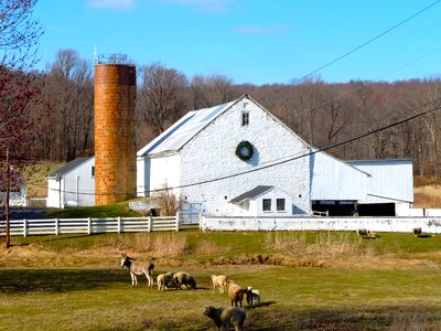 Pennsylvania barn buildings photo