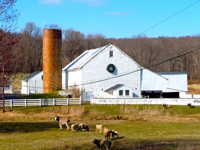 Pennsylvania barn buildings