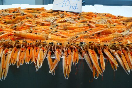 Scampi seafood food photo