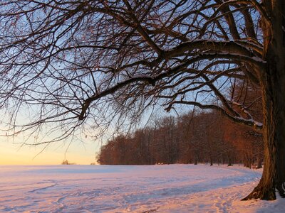 Wintry winter mood landscape photo