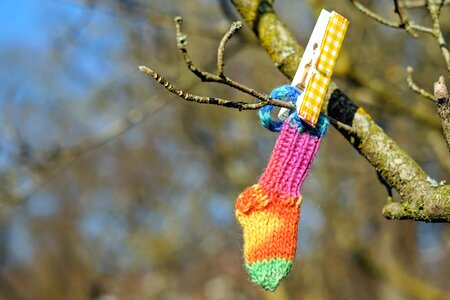 Branch knot landscape