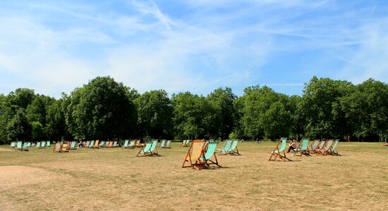 Trees chairs sky