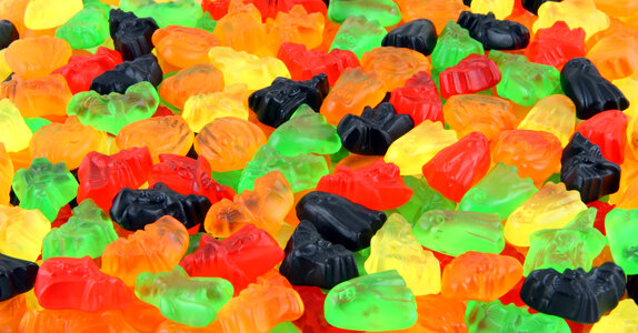 Colored Gummy Candy photo