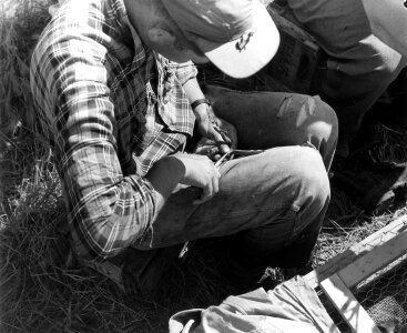Historical Waterfowl Survey-2