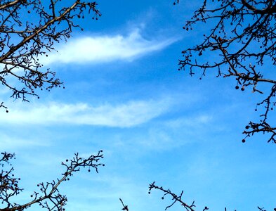 Weather light day
