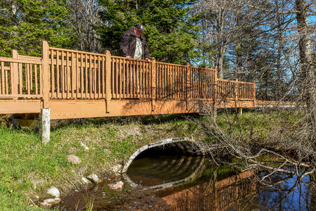 Bridge over creek
