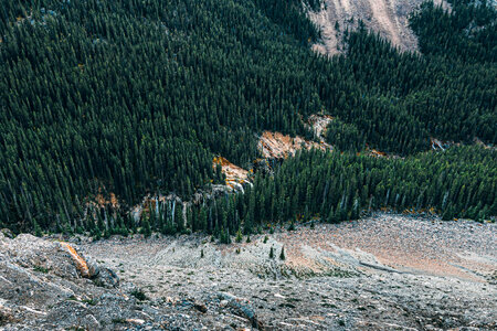Mountainside scenery with large green pine forest in Jasper National Park, Alberta, Canada photo