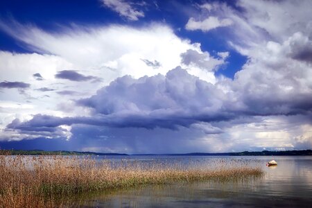 Boot cloud grass plants