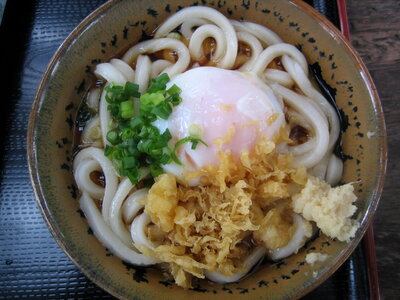 Bukkake Udon - Japanese Noodle photo