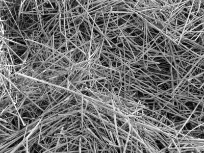 Texture background natural
