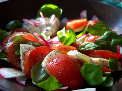Mozzarella mozzarella tomato skewers basil