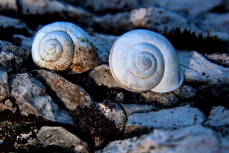 Marble weathered stone