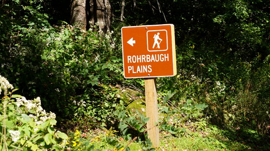 Dolly Sods Rohrbaugh Plains photo