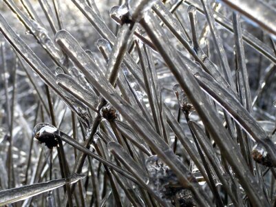 Nature ice graeser