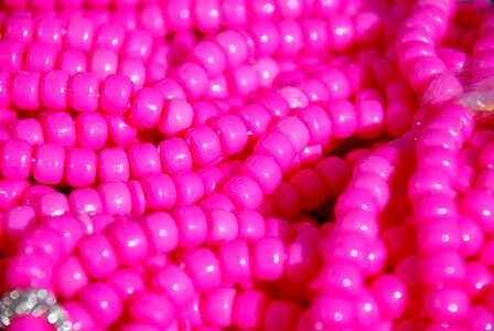 Magenta pearl coral photo